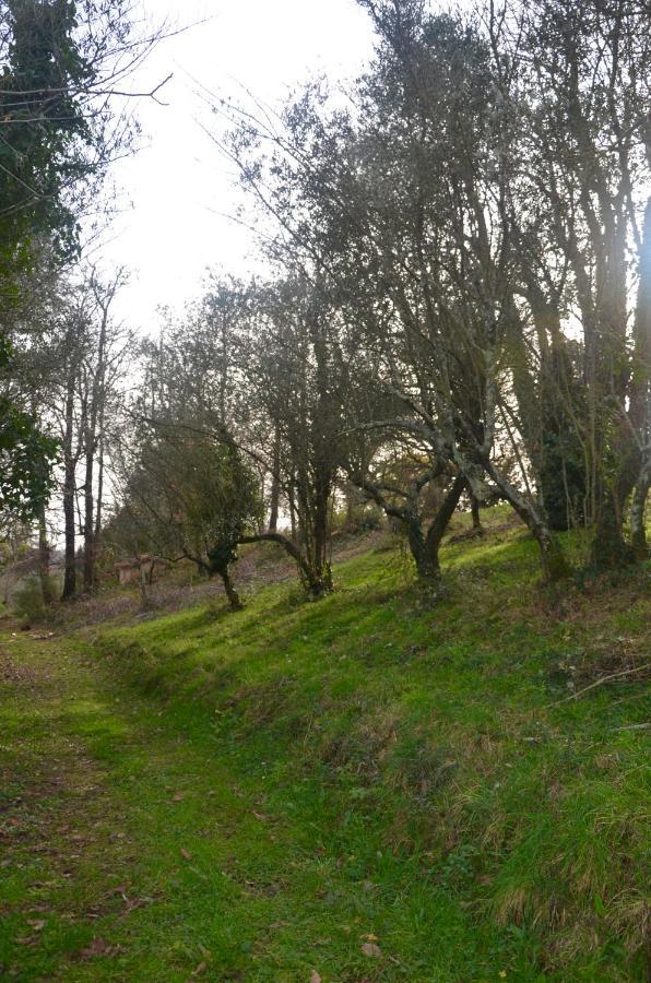 شقة Il Giardino Secreto Manziana المظهر الخارجي الصورة