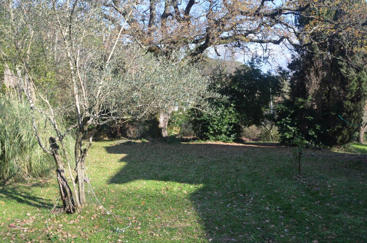 شقة Il Giardino Secreto Manziana المظهر الخارجي الصورة