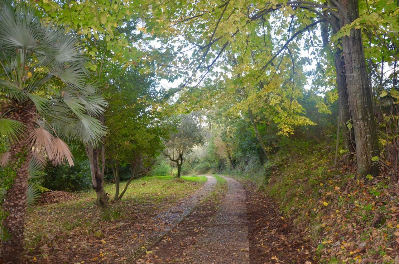 شقة Il Giardino Secreto Manziana المظهر الخارجي الصورة